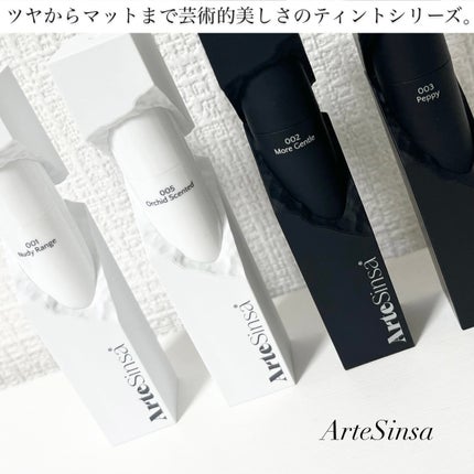 ビルダブルデューイフィットティント/ArteSinsa/リップティントを使ったクチコミ(1枚目)