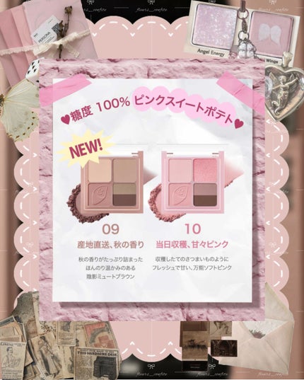 インク ポケット シャドウ パレット(AD)/PERIPERA/アイシャドウパレットを使ったクチコミ(2枚目)
