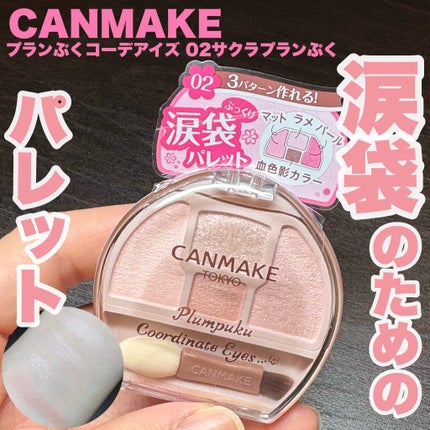 プランぷくコーデアイズ/キャンメイク/パウダーアイシャドウを使ったクチコミ(1枚目)