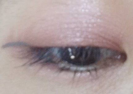 プランぷくコーデアイズ/キャンメイク/パウダーアイシャドウを使ったクチコミ(1枚目)