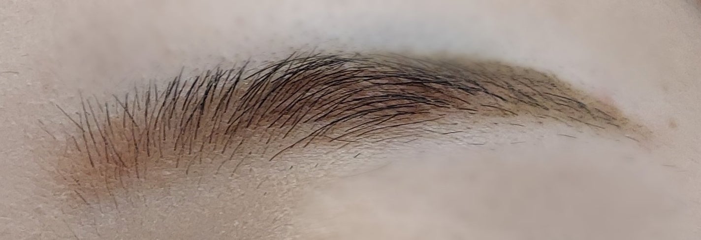 ノーズ&アイブロウパウダー/CEZANNE/パウダーアイブロウを使ったクチコミ(2枚目)