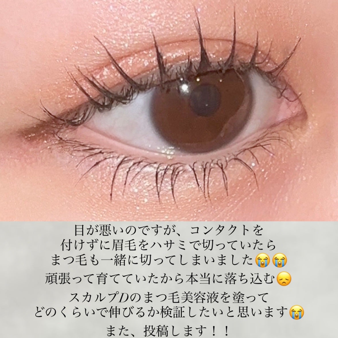 スカルプD アイラッシュセラム プレミアム/アンファー(スカルプD)/まつげ美容液を使ったクチコミ(3枚目)