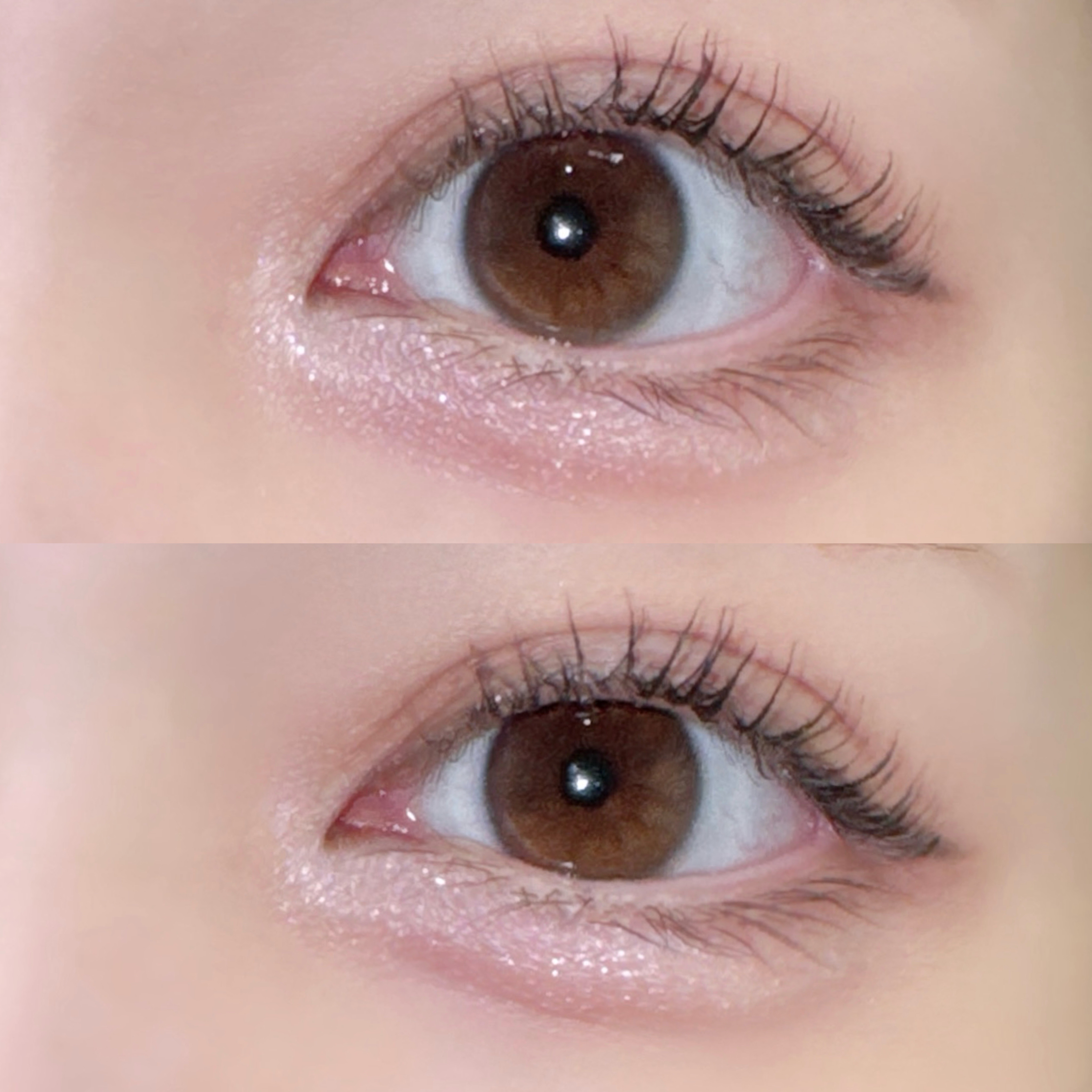 プランぷくコーデアイズNeo/キャンメイク/アイシャドウを使ったクチコミ（2枚目）