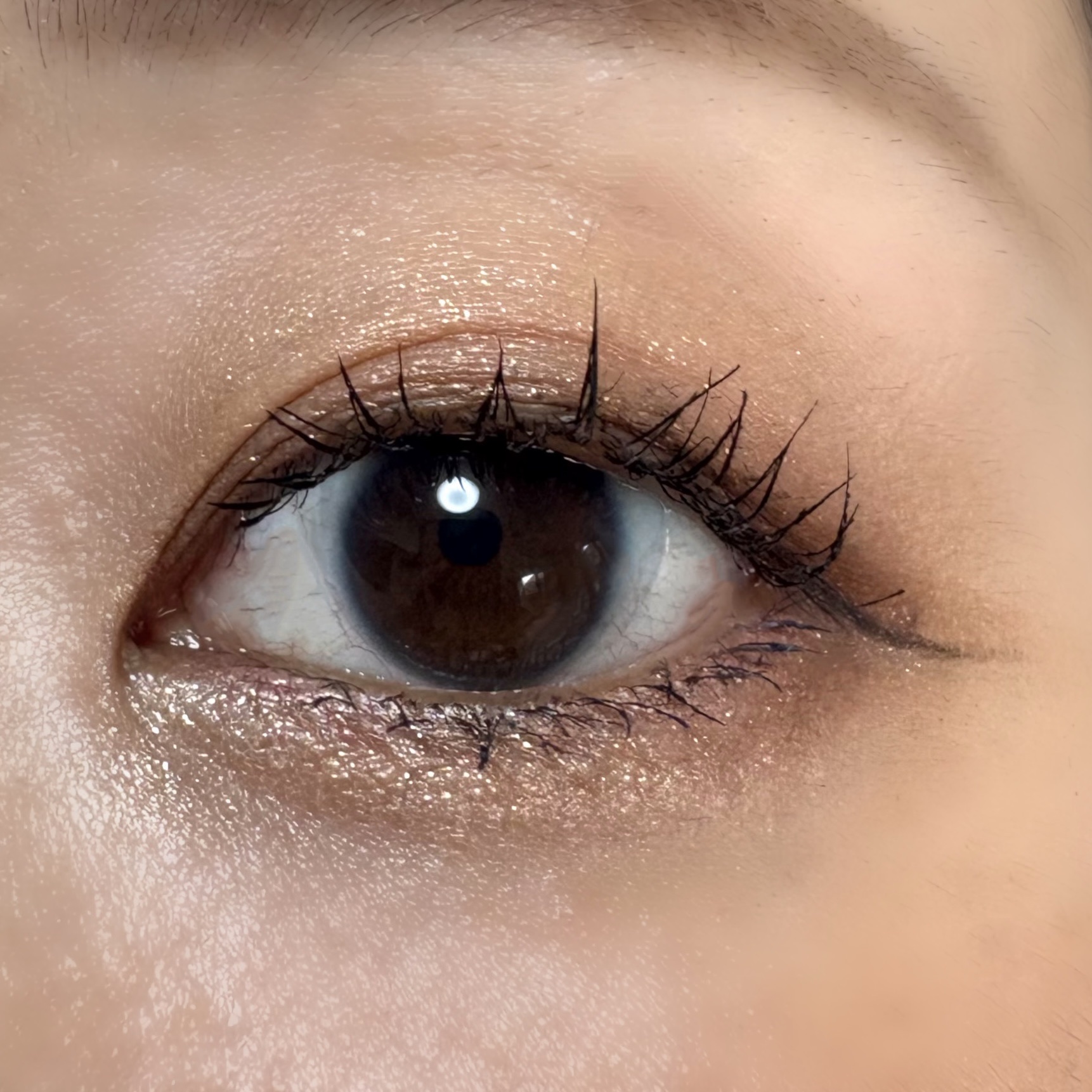 ムードアイズシャドウパレット/INGA/アイシャドウパレットを使ったクチコミ（3枚目）