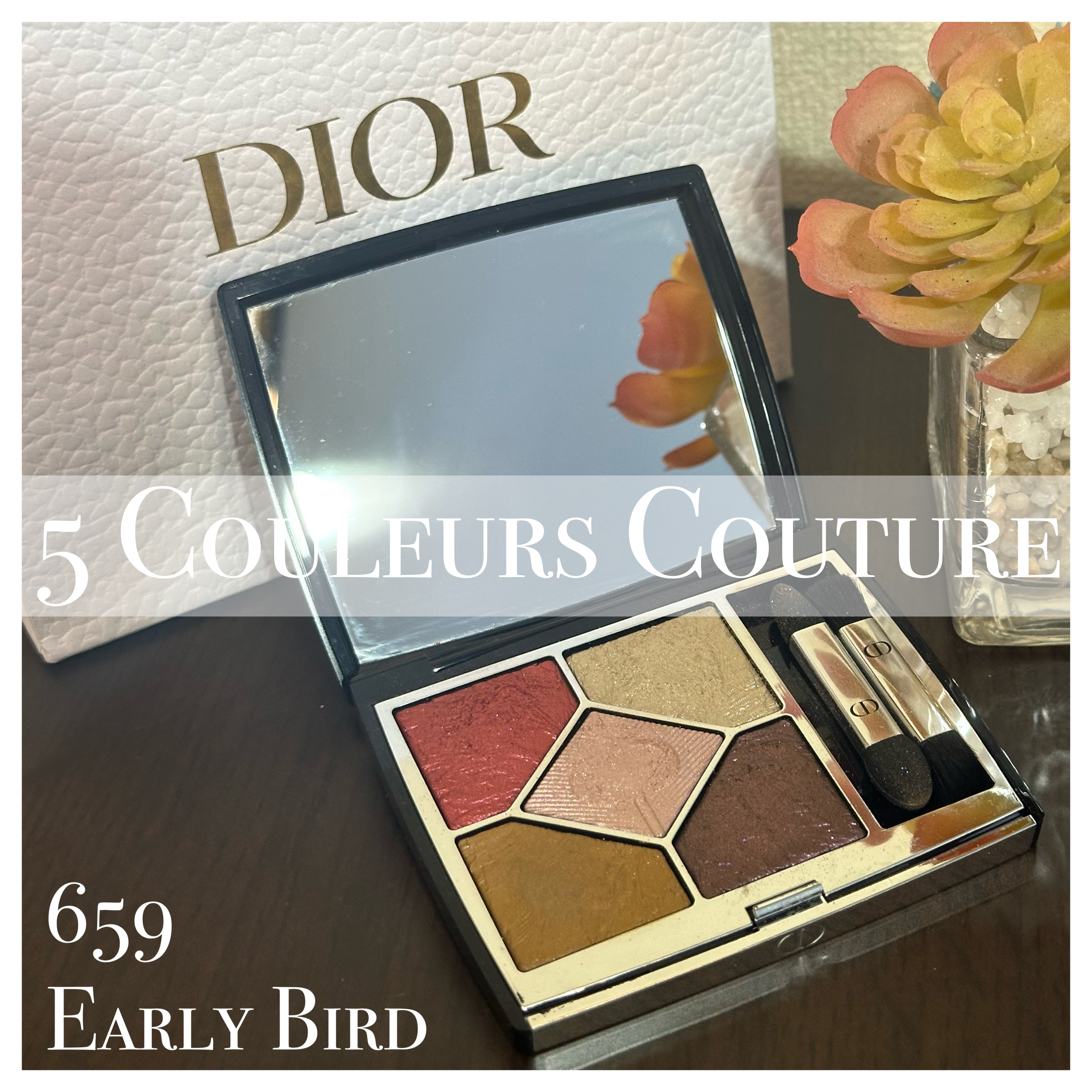 サンク クルール クチュール＜バーズ オブ ア フェザー＞/Dior/アイシャドウパレットを使ったクチコミ（1枚目）