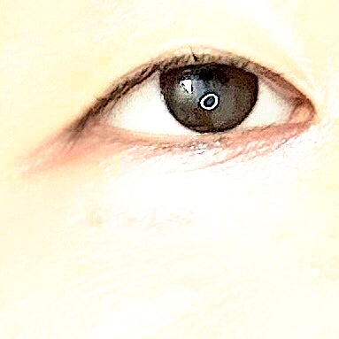 キス ズームアイポーション/KiSS/アイシャドウパレットを使ったクチコミ(4枚目)