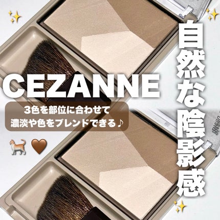 ブレンドカラーシェーディング/CEZANNE/シェーディングを使ったクチコミ(1枚目)