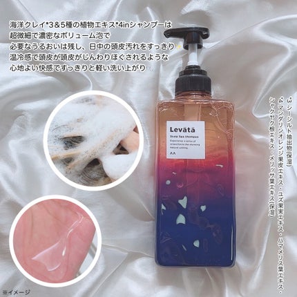 レバタ スカルプスパ シャンプー/トリートメント/Levätä/市販シャンプーを使ったクチコミ(2枚目)