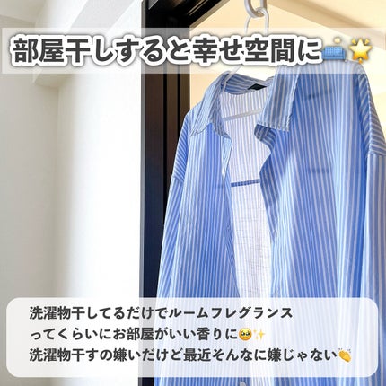 アフューム 香りビーズ PARIS SERIES Wash Scent Booster Paris/arFUM/柔軟剤を使ったクチコミ(5枚目)