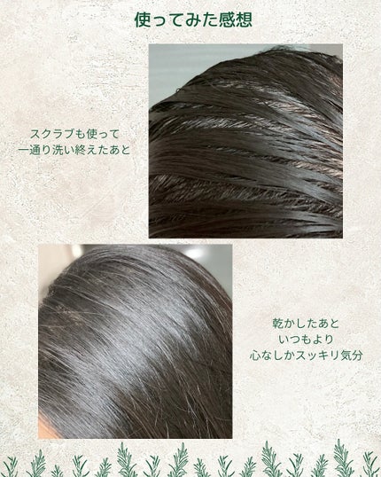 ローズマリー スカルプ スクラブ/AROMATICA/ヘッドスクラブを使ったクチコミ(4枚目)