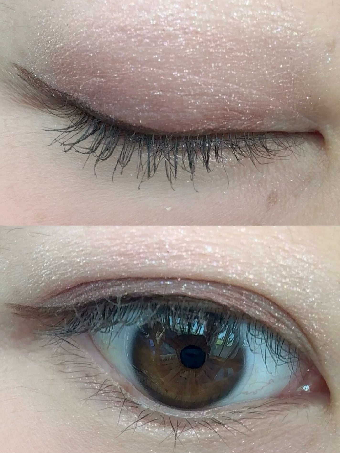 ドラマティックアイカラー (パウダー)/(クリーム)/マキアージュ/アイシャドウパレットを使ったクチコミ(2枚目)