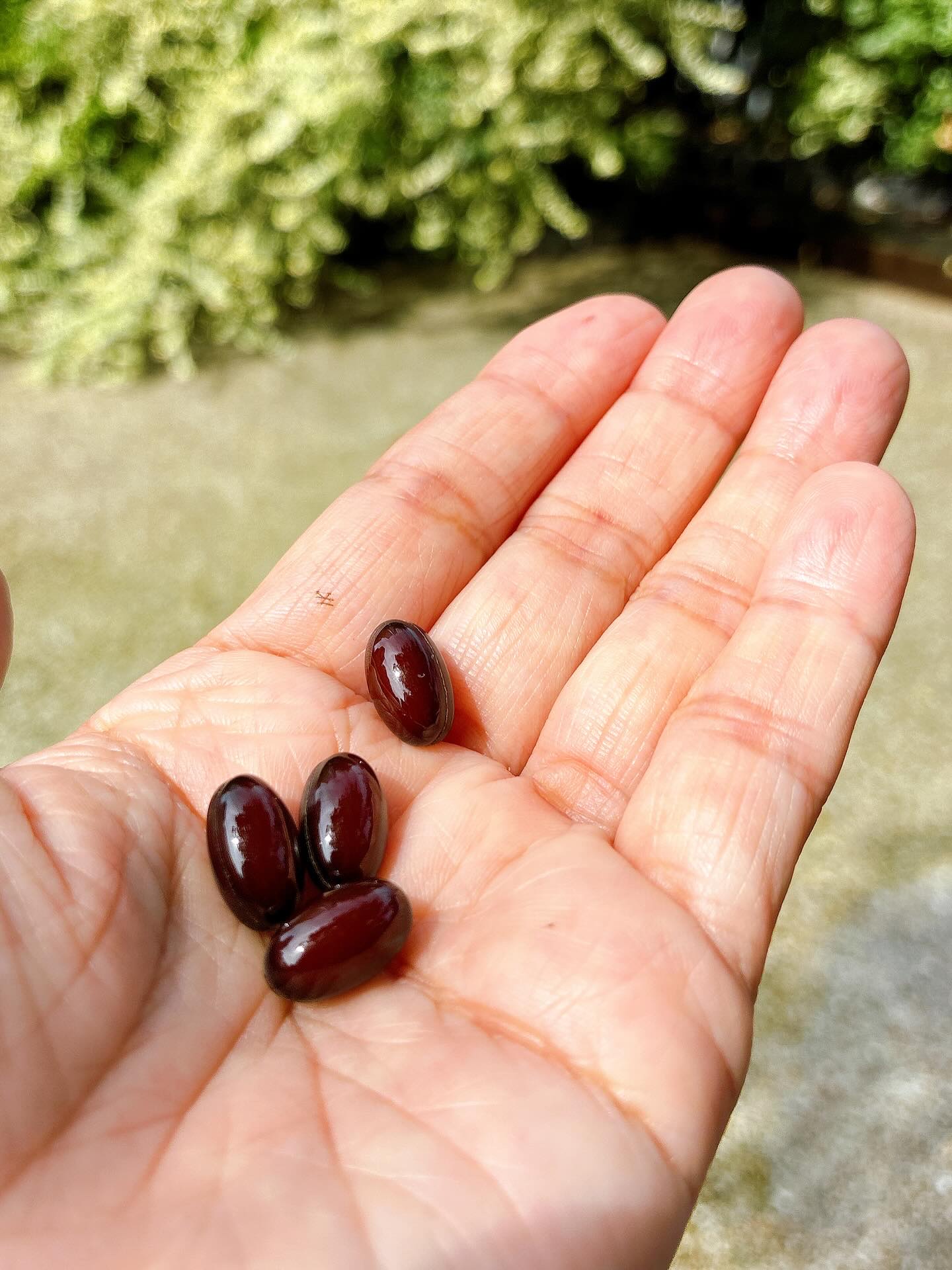 プラセンタ20000　リポソームビタミンC/マルマンH＆B/美容サプリメントを使ったクチコミ（3枚目）