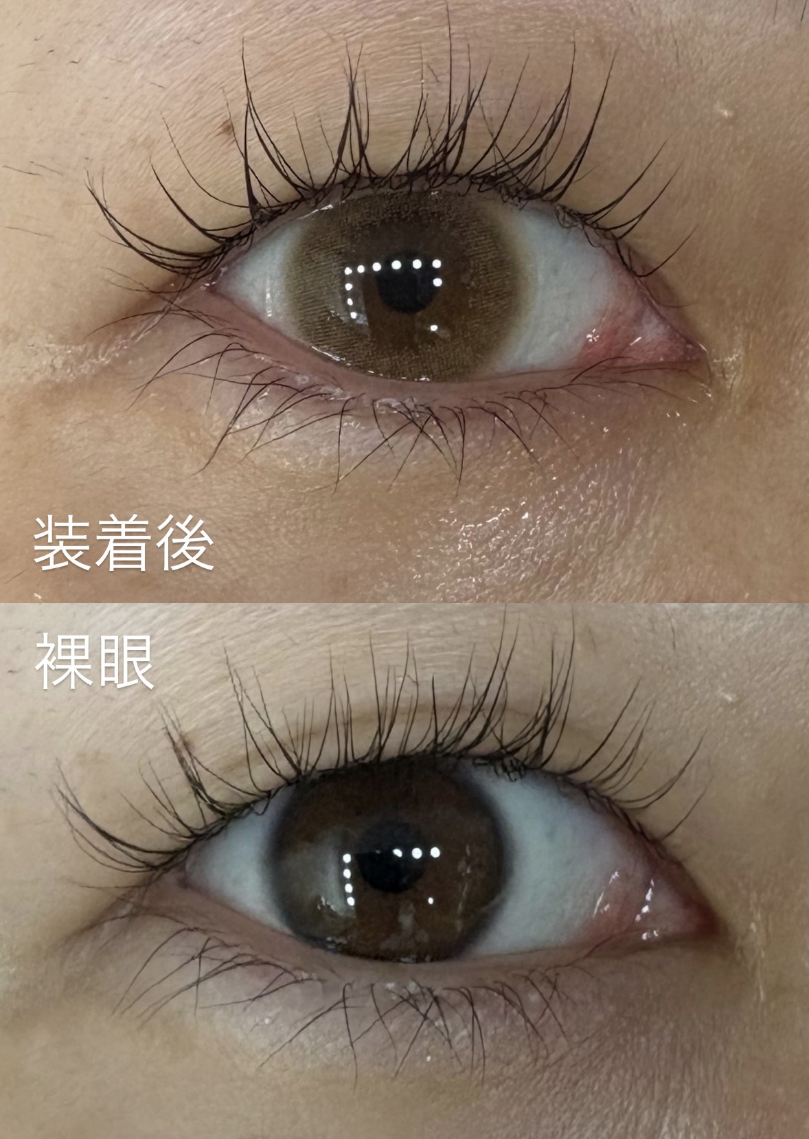 HARNE 1day/HARNE/ワンデー（１DAY）カラコンを使ったクチコミ（2枚目）