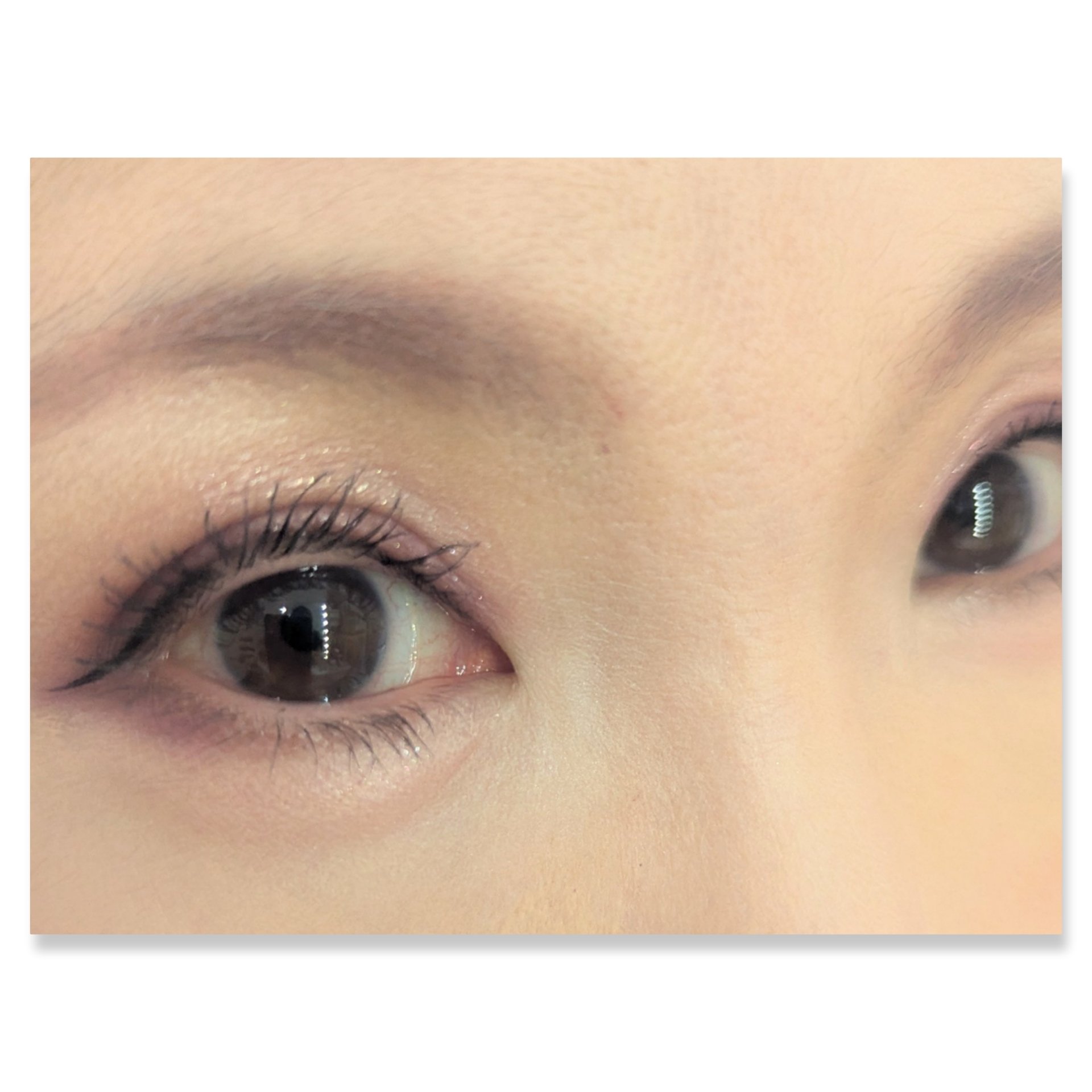 キスミー　フェルム　スタイリングアイパレット/キスミー フェルム/アイシャドウパレットを使ったクチコミ（2枚目）