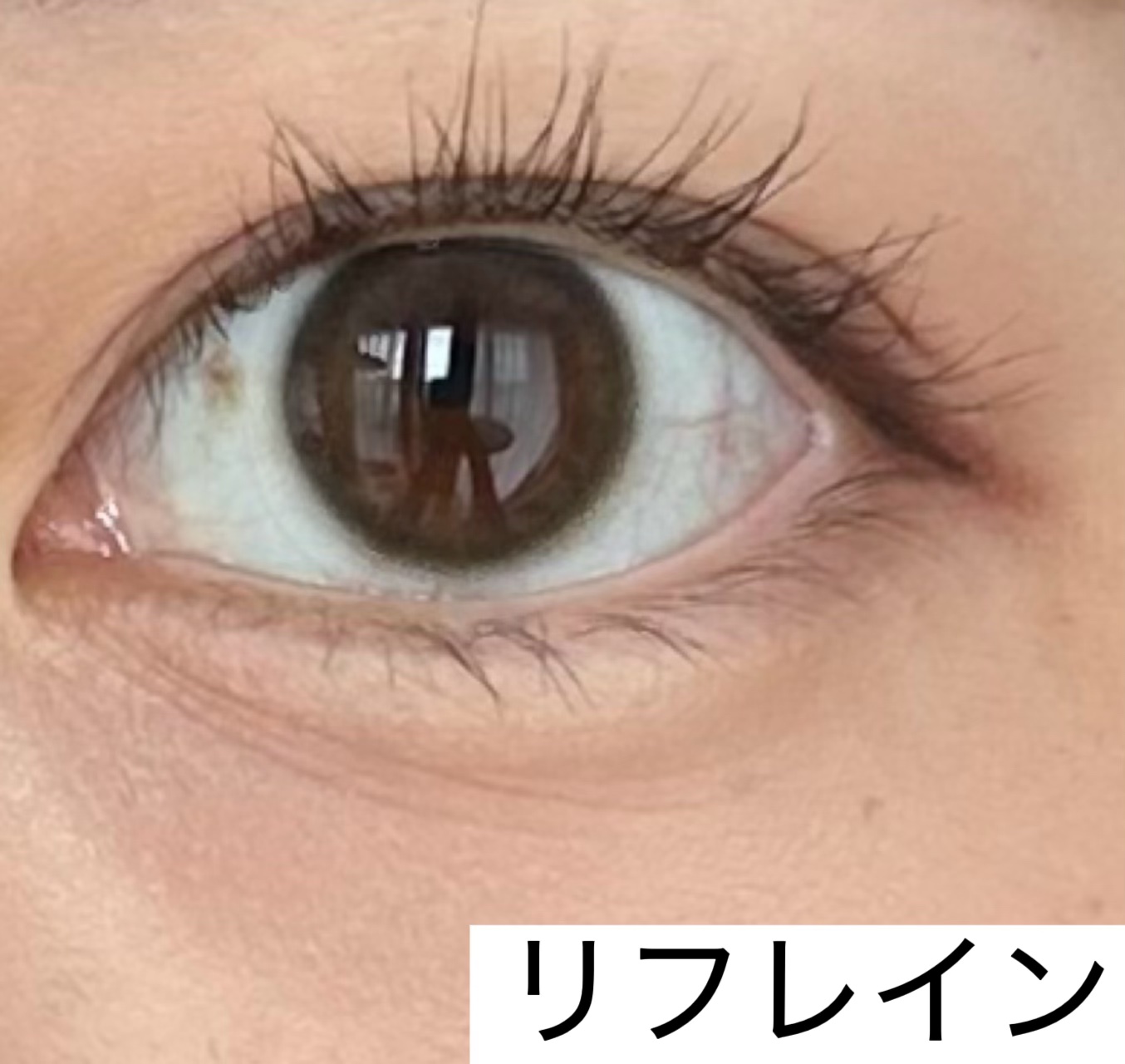 miium 1day/miium/ワンデー（１DAY）カラコンを使ったクチコミ（1枚目）