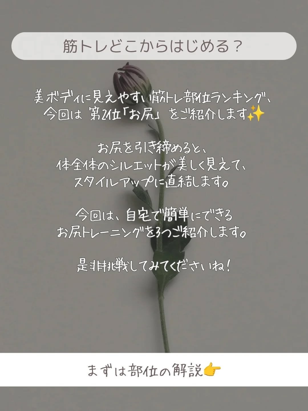 ðãšã ð on LIPS ãçãã¬ã§éããã¹ãéšäœç¬¬2äœã®âãå°»âïŒðãå°»ãåŒãç· ãããšã..ãïŒ2æç®ïŒ