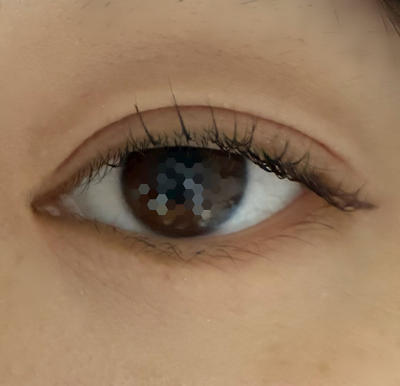 ラッシュフォーマーEX(クリア) BK-1 透明感ブラック/KATE/マスカラを使ったクチコミ（2枚目）