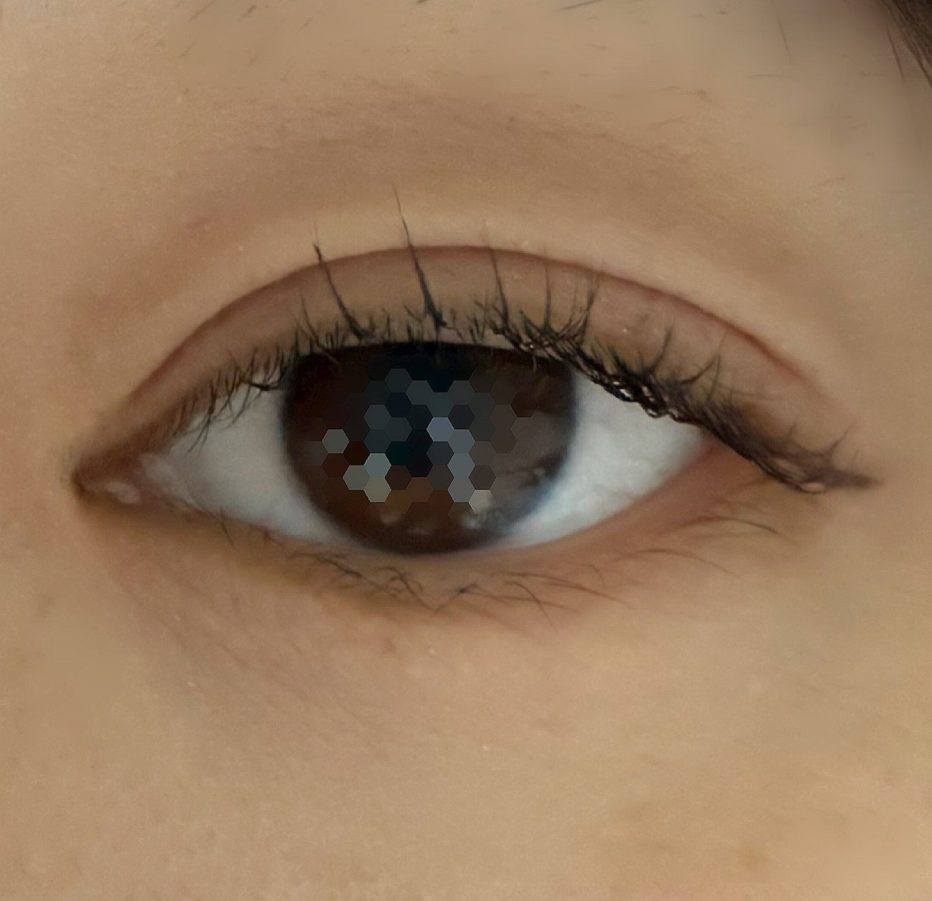 ラッシュフォーマーEX(クリア)/KATE/マスカラを使ったクチコミ(2枚目)