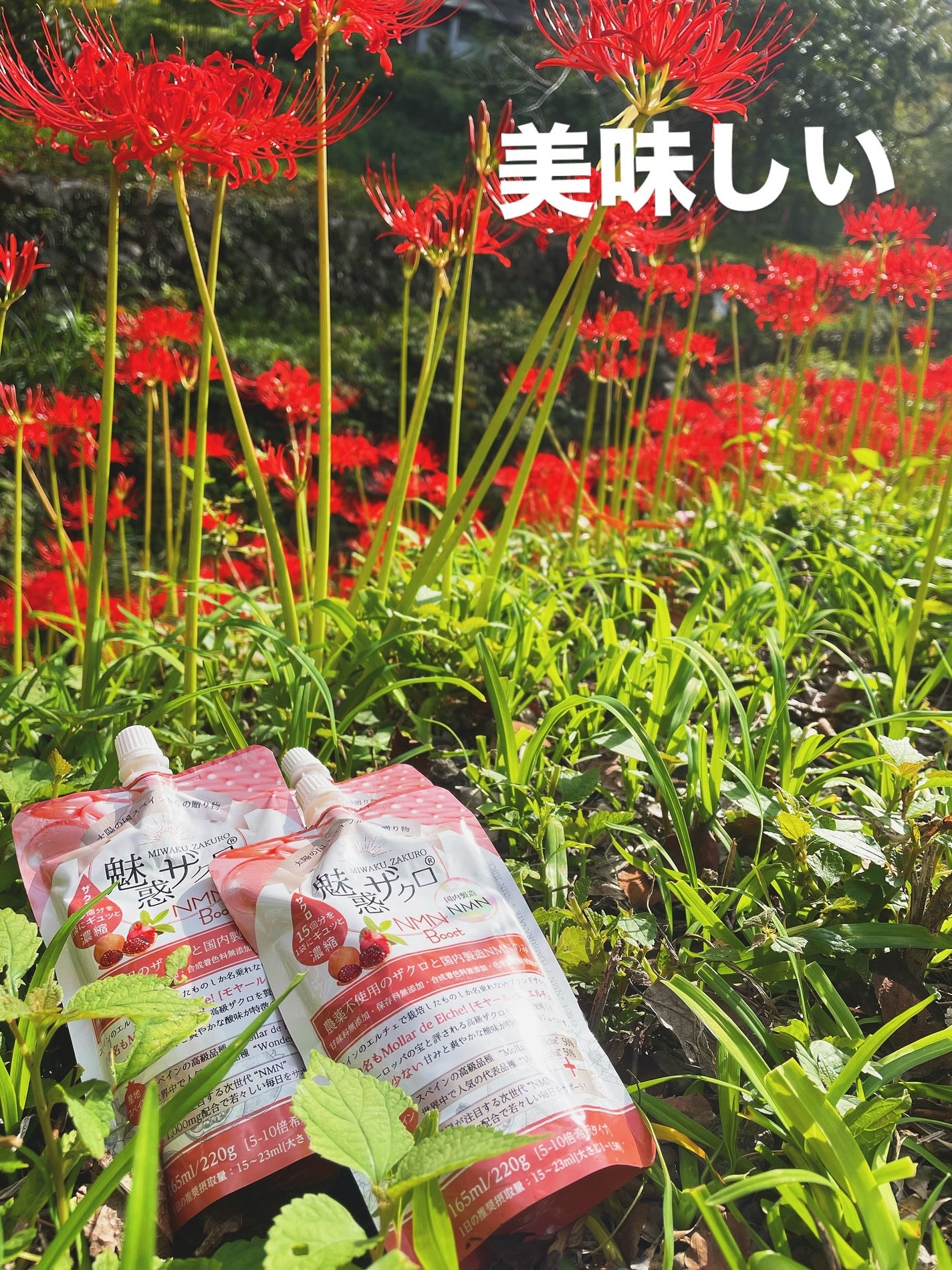 魅惑ザクロNMNブースト/魅惑ザクロ/美容ドリンクを使ったクチコミ(6枚目)