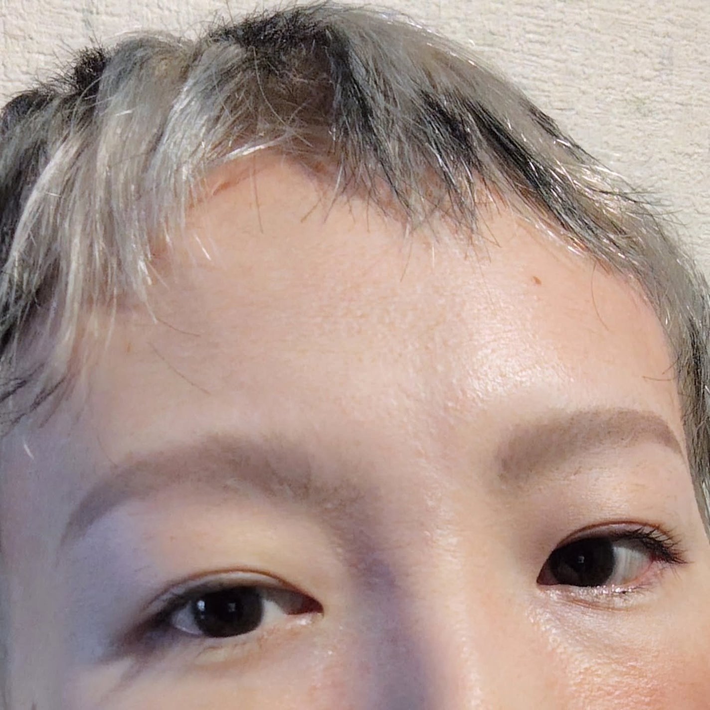 ノーズ&アイブロウパウダー/CEZANNE/パウダーアイブロウを使ったクチコミ(8枚目)