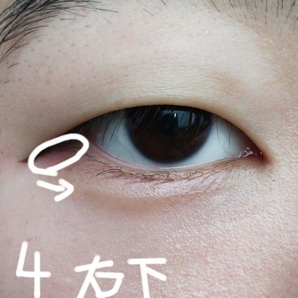 アイシャドウブラシセット/ロージーローザ/メイクブラシを使ったクチコミ(5枚目)