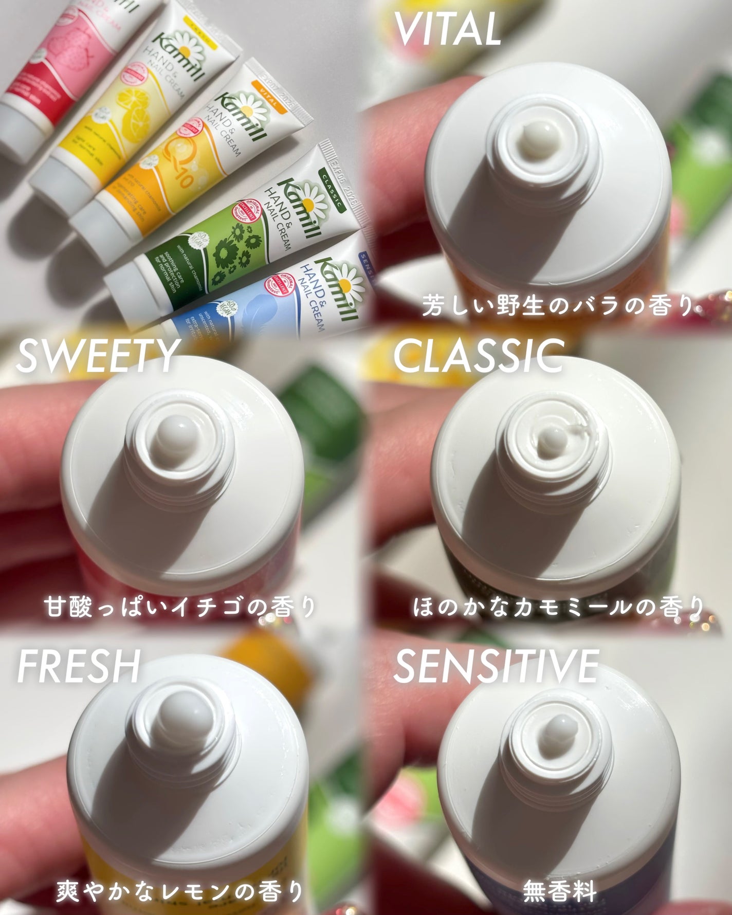 ハンド&ネイルクリームミニ 企画セット30ml*5/カミール/その他キットセットを使ったクチコミ(3枚目)