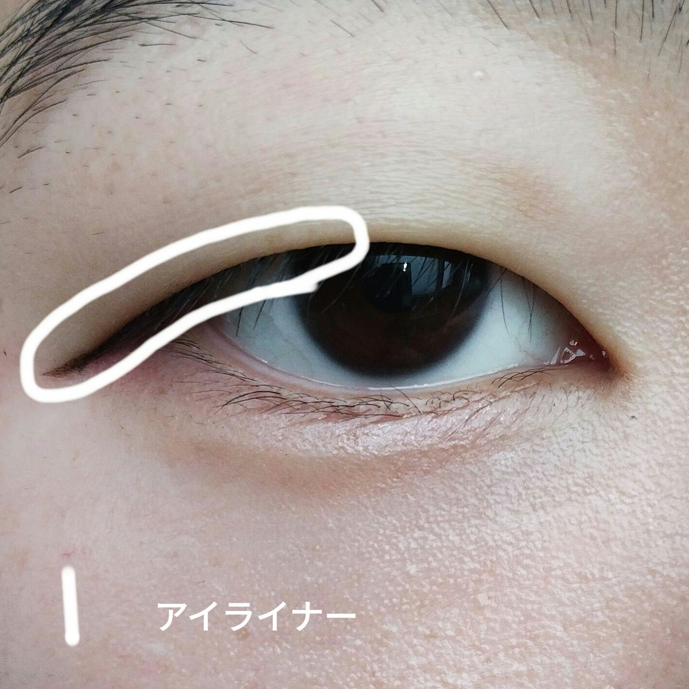 アイシャドウブラシセット/ロージーローザ/メイクブラシを使ったクチコミ（2枚目）