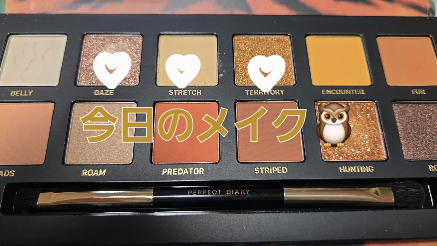 エクスプローラ12色 動物アイシャドウパレット/PERFECT DIARY/アイシャドウパレットを使ったクチコミ(1枚目)