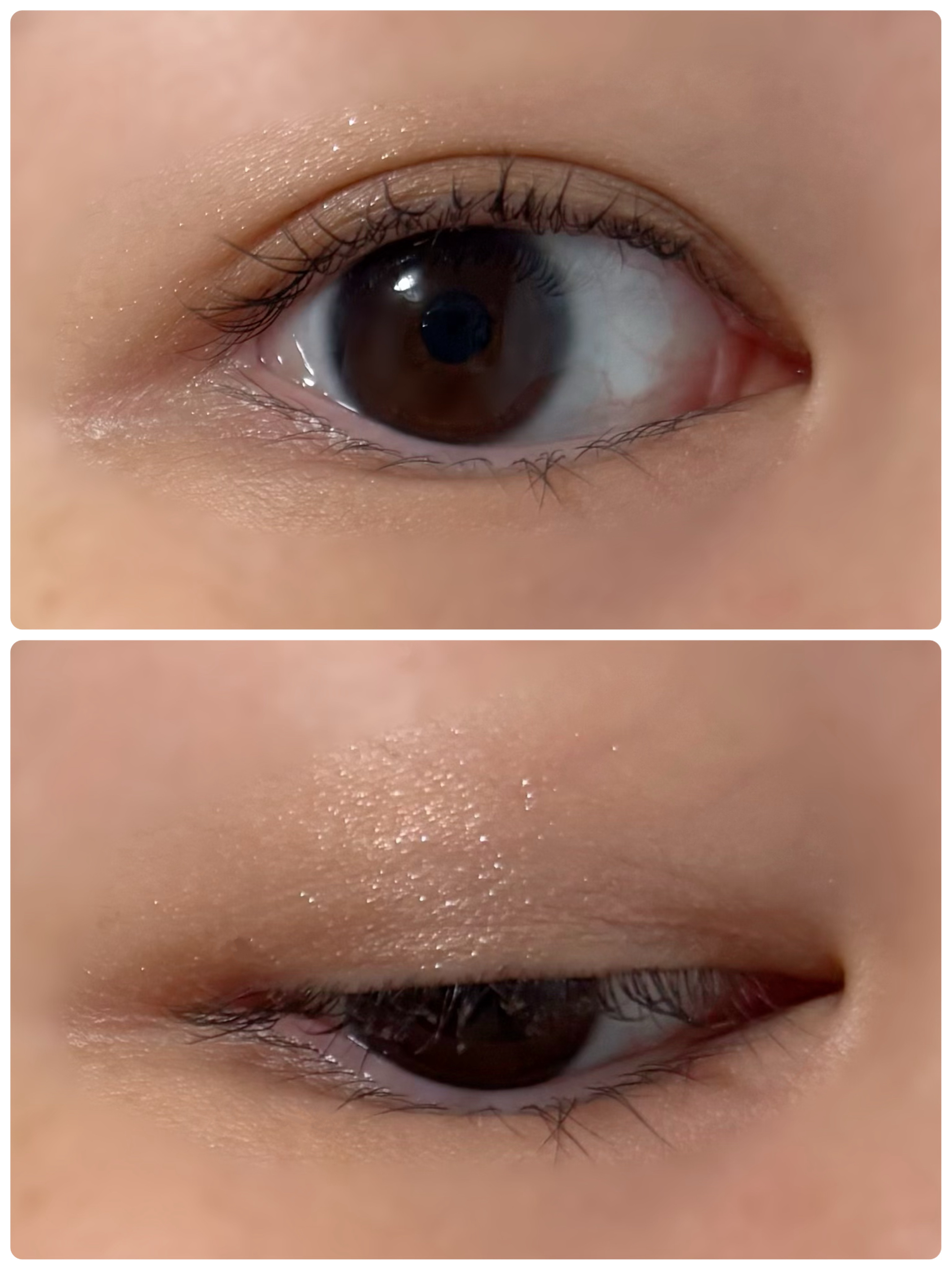 セレクション・ドゥ・ショコラアイズ 02 Chocolat Amer/LUNASOL/アイシャドウパレットを使ったクチコミ（2枚目）