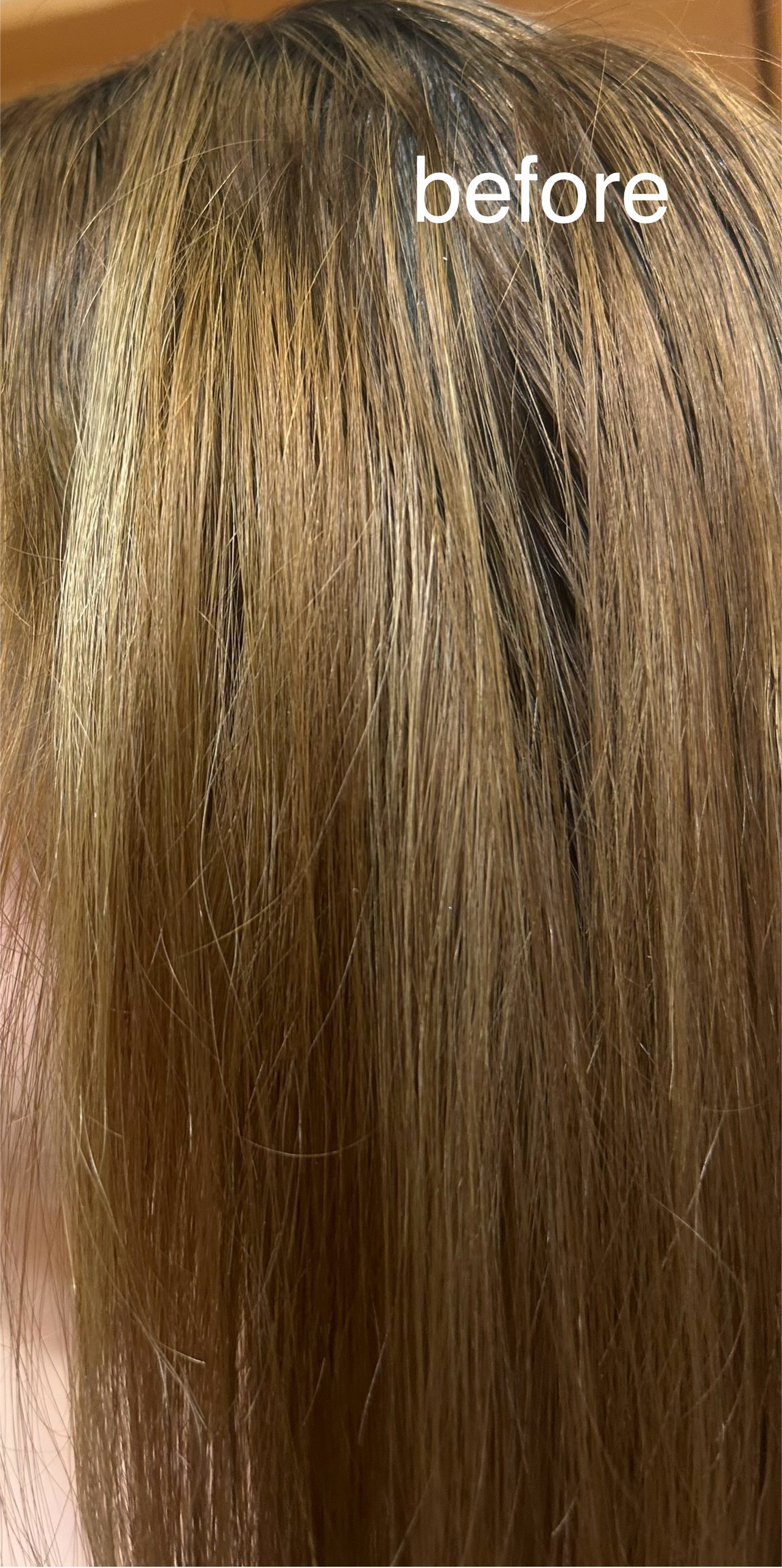 エブリカラーフォームシャンプー/アンナドンナ/市販シャンプーを使ったクチコミ（3枚目）