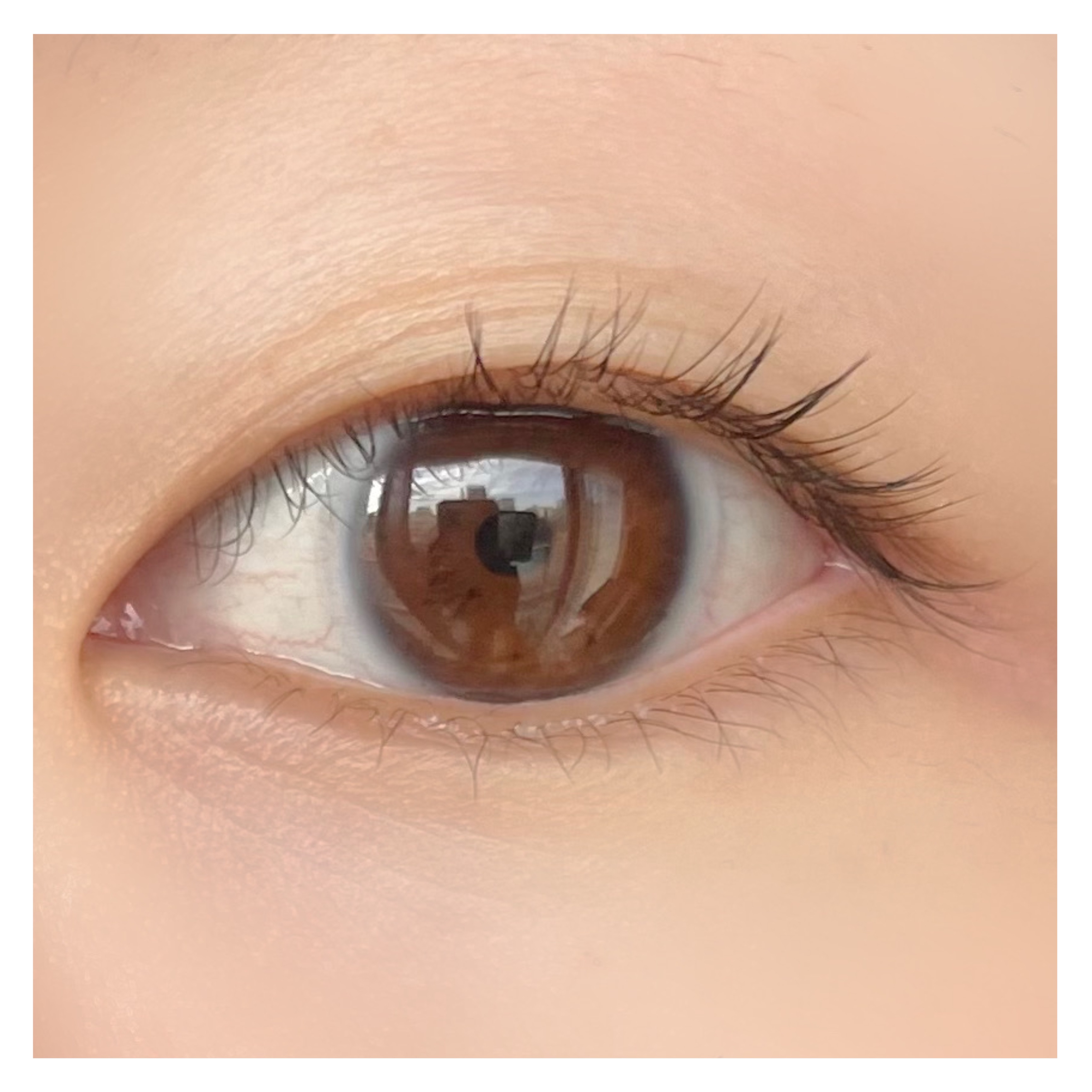 ロングアクティブアイラッシュセラム/COSNORI/まつげ美容液を使ったクチコミ（1枚目）