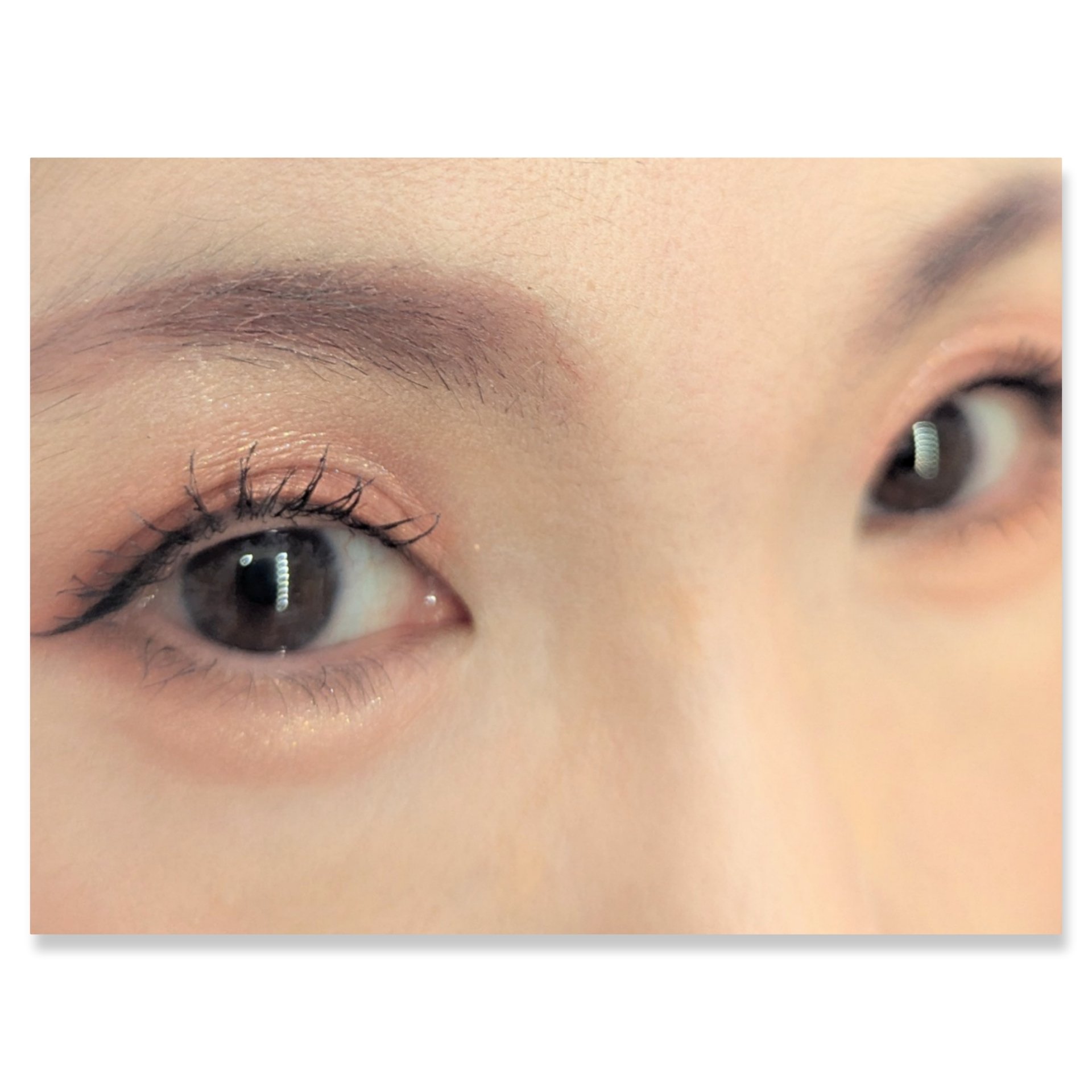 ベターザンパレット/rom&nd/アイシャドウパレットを使ったクチコミ（2枚目）