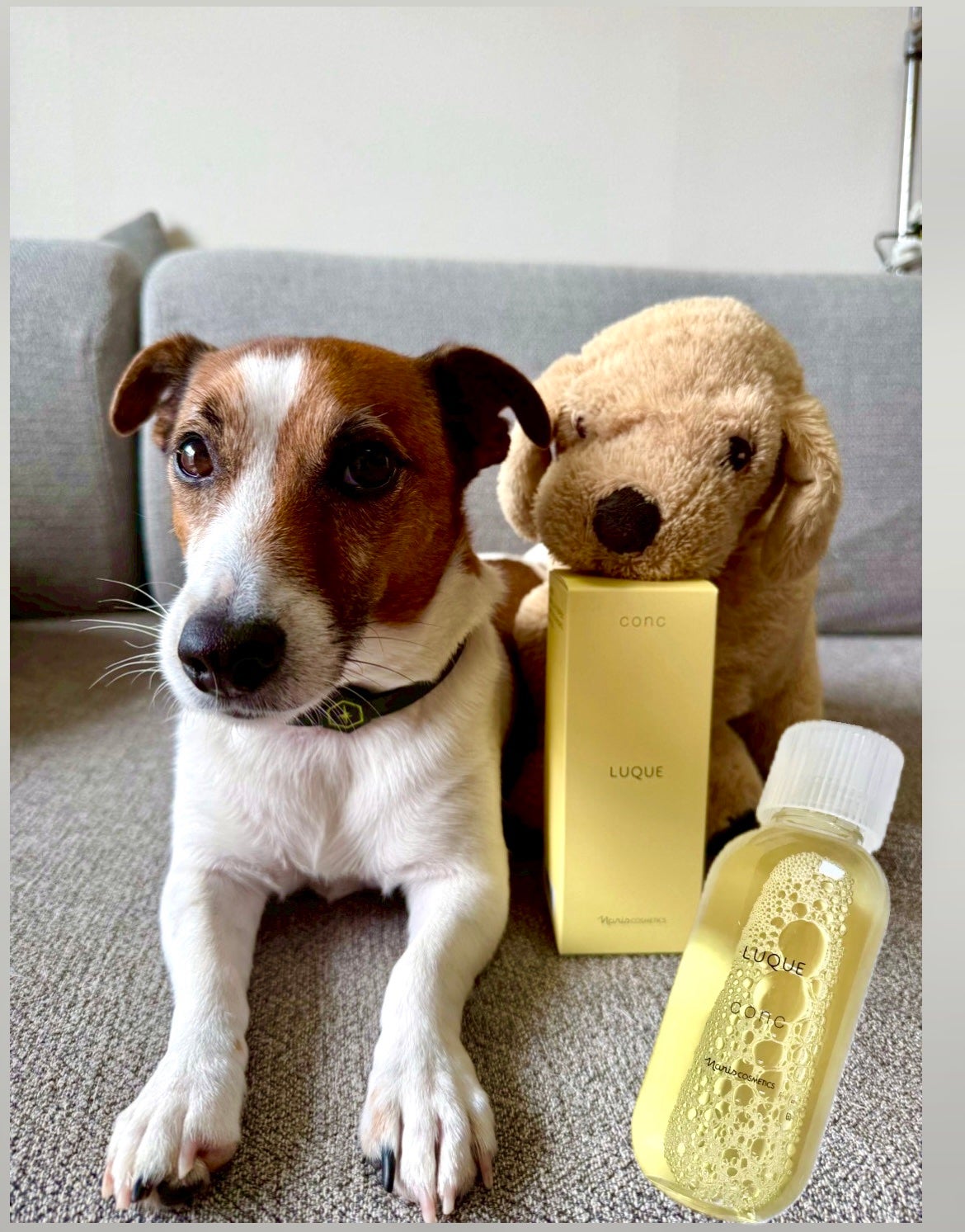 ルクエ コンク/ナリス化粧品/拭き取り化粧水を使ったクチコミ(1枚目)