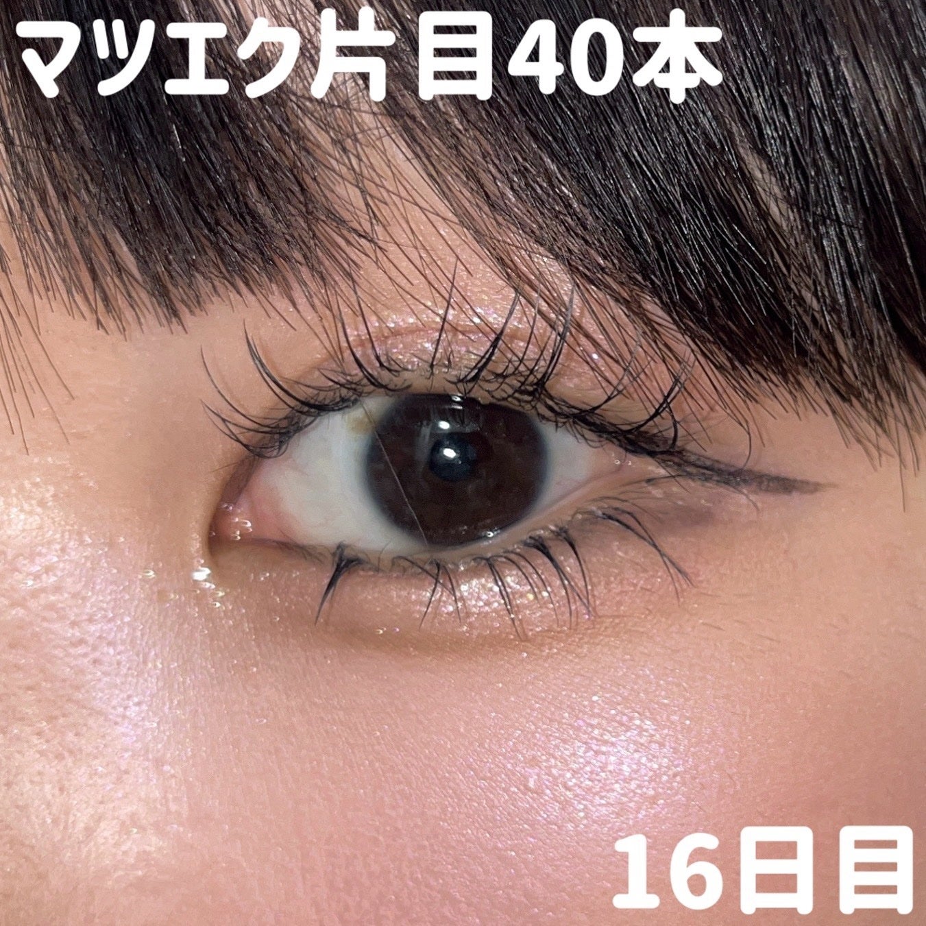 シャドウパレット/dasique/アイシャドウパレットを使ったクチコミ(1枚目)