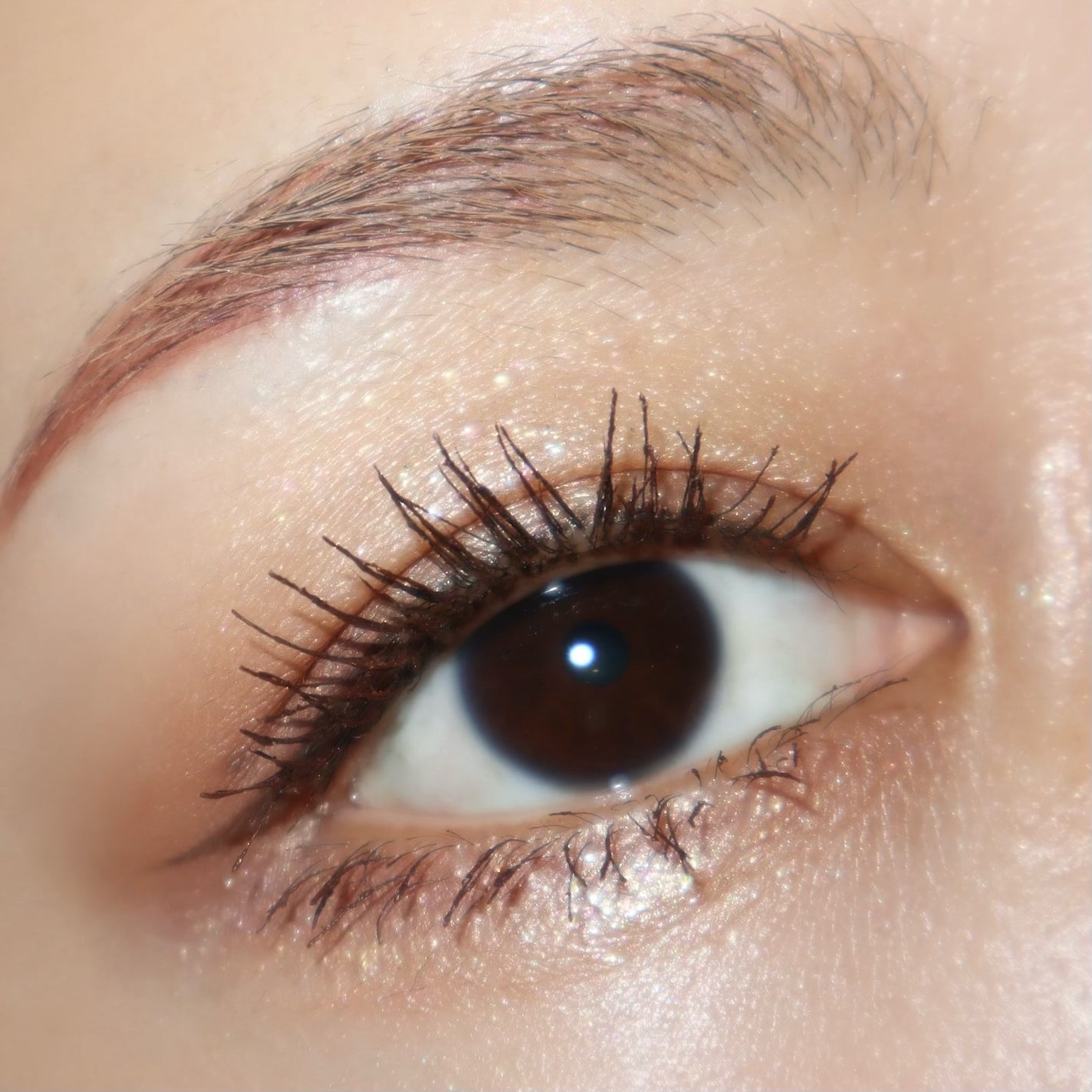 THE アイパレR/b idol/アイシャドウパレットを使ったクチコミ(7枚目)