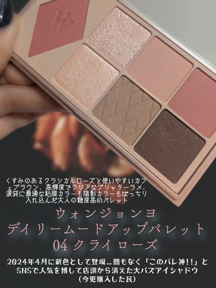 ウォンジョンヨ W デイリームードアップパレット /Wonjungyo/アイシャドウパレットを使ったクチコミ(2枚目)
