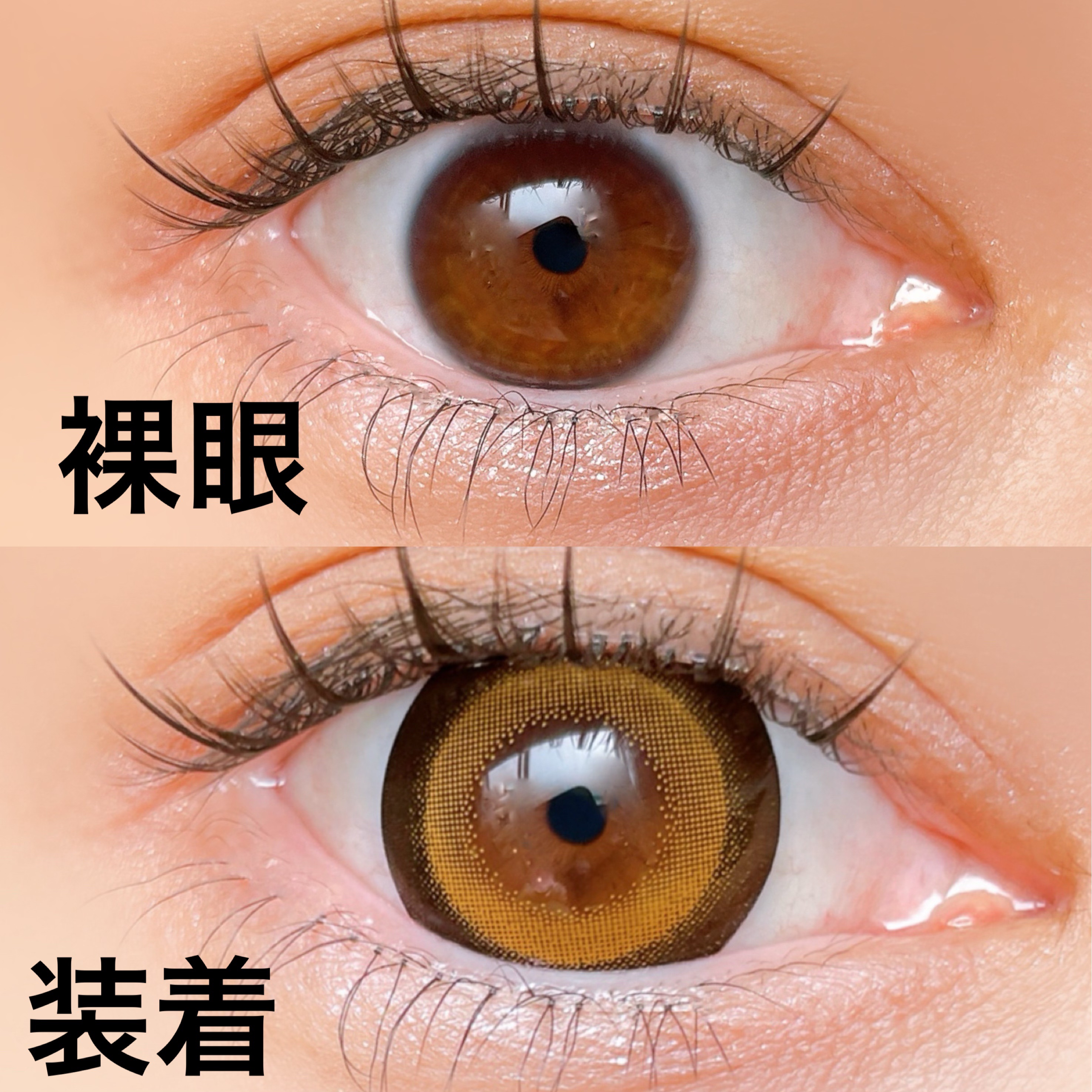 Dustity/Dustity/ワンデー（１DAY）カラコンを使ったクチコミ（3枚目）