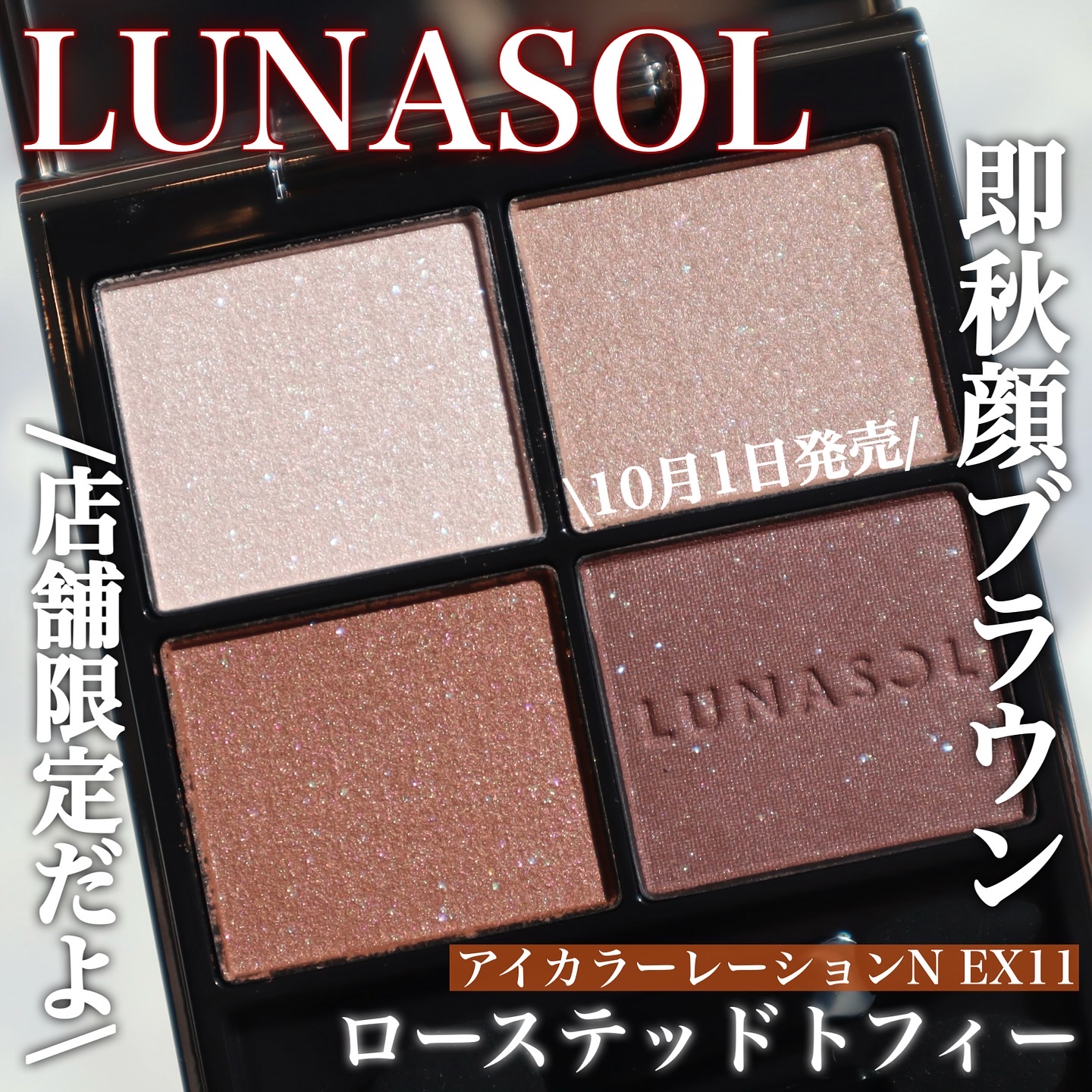 ルナソル アイカラーレーションN/LUNASOL/アイシャドウパレットを使ったクチコミ（1枚目）