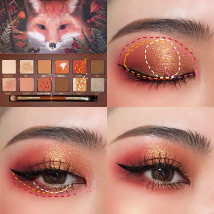 エクスプローラ12色 動物アイシャドウパレット/PERFECT DIARY/アイシャドウパレットを使ったクチコミ(7枚目)