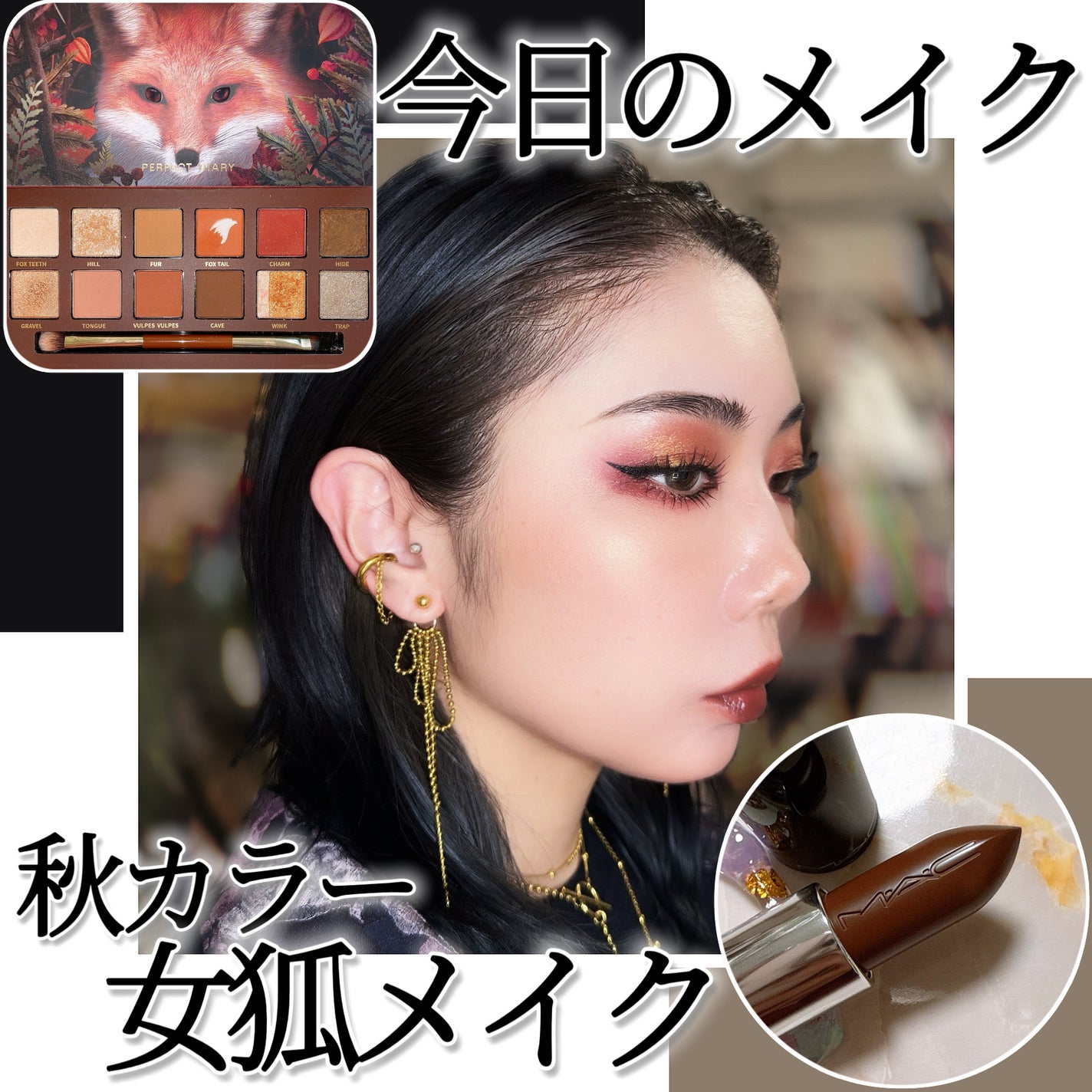 エクスプローラ12色 動物アイシャドウパレット/PERFECT DIARY/アイシャドウパレットを使ったクチコミ(1枚目)