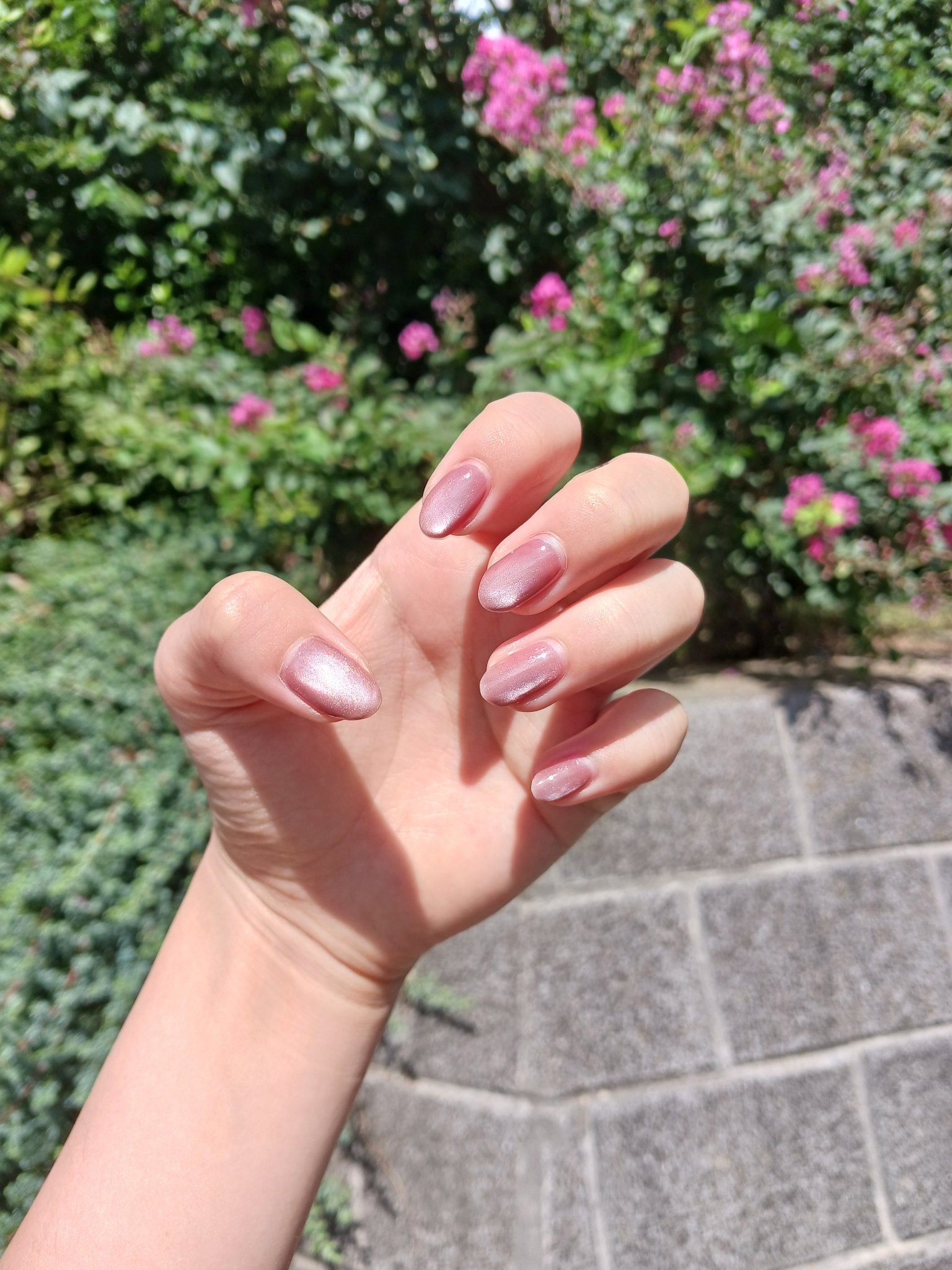 GELiSM (ジェリズム) M14 rosy petal/D-UP/ジェルネイルを使ったクチコミ（1枚目）