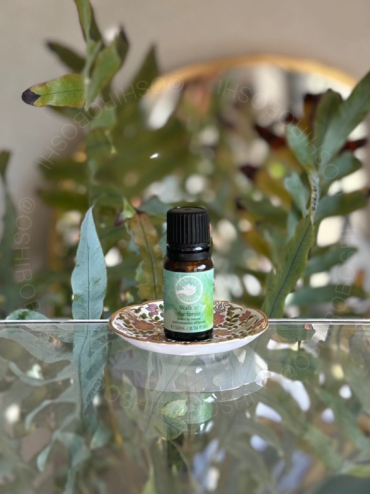 ウォーク イン ザ フォレスト エッセンシャルオイルブレンド/パーフェクトポーション/アロマオイルを使ったクチコミ（1枚目）