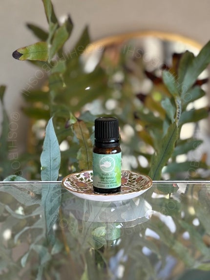 ウォーク イン ザ フォレスト エッセンシャルオイルブレンド/パーフェクトポーション/アロマオイルを使ったクチコミ(1枚目)