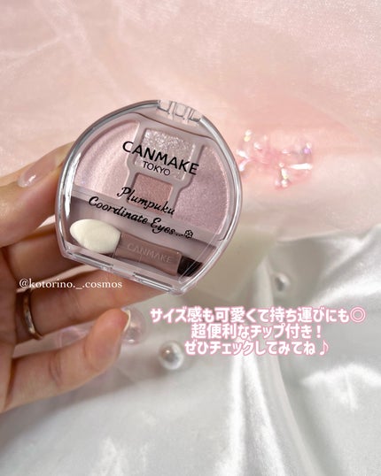 プランぷくコーデアイズ/キャンメイク/パウダーアイシャドウを使ったクチコミ(5枚目)