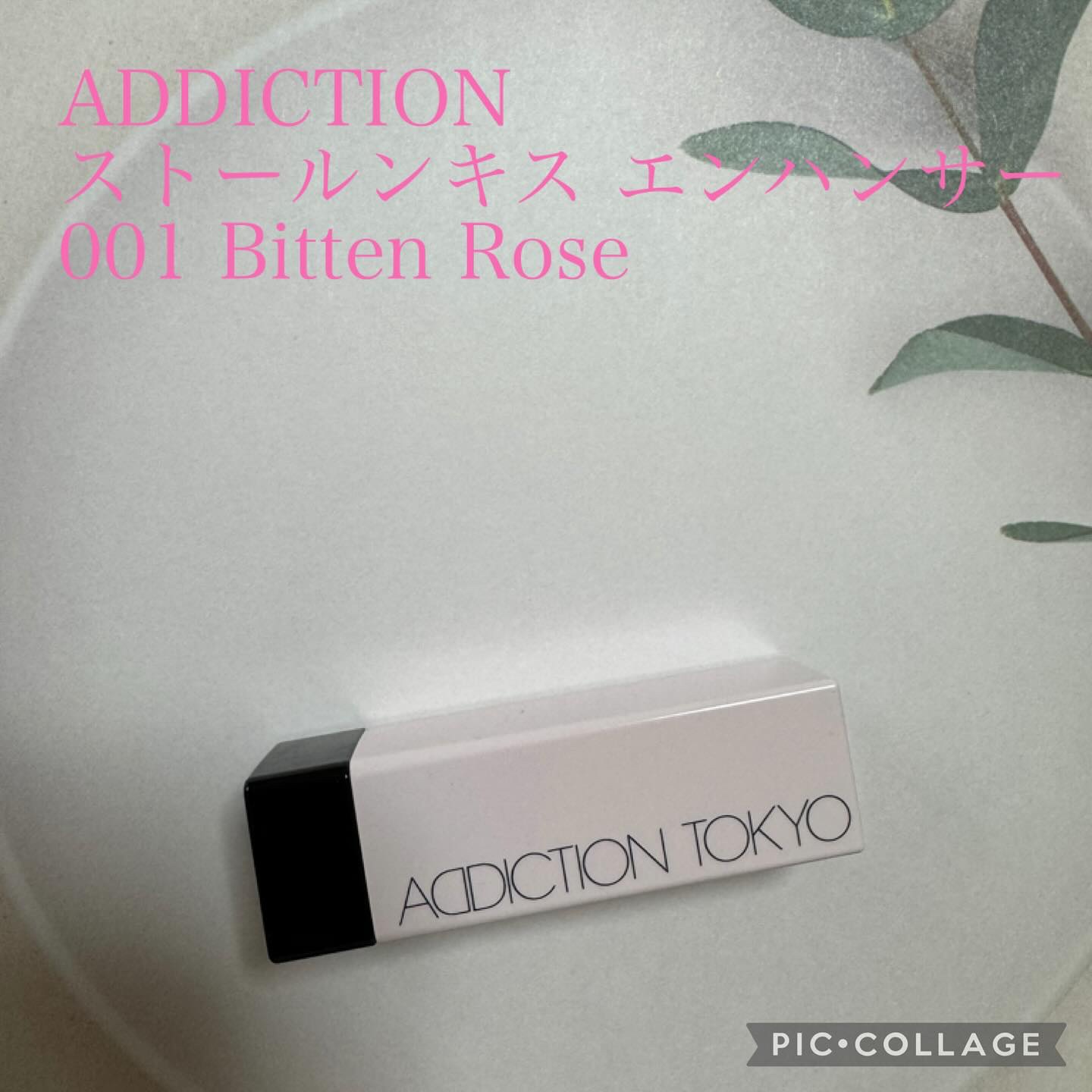ADDICTION ストールンキス エンハンサーのクチコミ「【ADDICTION ストールンキス エンハンサー 001 Bitten Rose】
唇の水分.....」（1枚目）