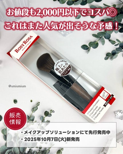 パウダーブラシEX/ロージーローザ/メイクブラシを使ったクチコミ(6枚目)