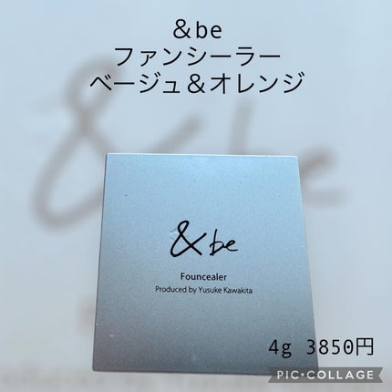 &be ファンシーラー/&be/パレットコンシーラーを使ったクチコミ(1枚目)
