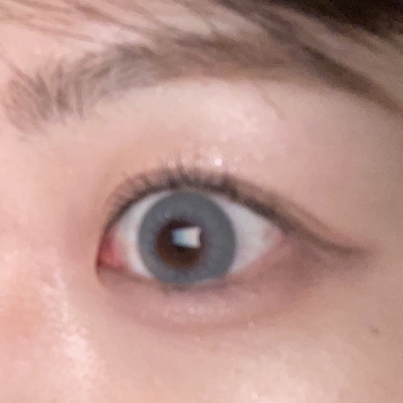 rain 1day/rain/ワンデー（１DAY）カラコンを使ったクチコミ（2枚目）