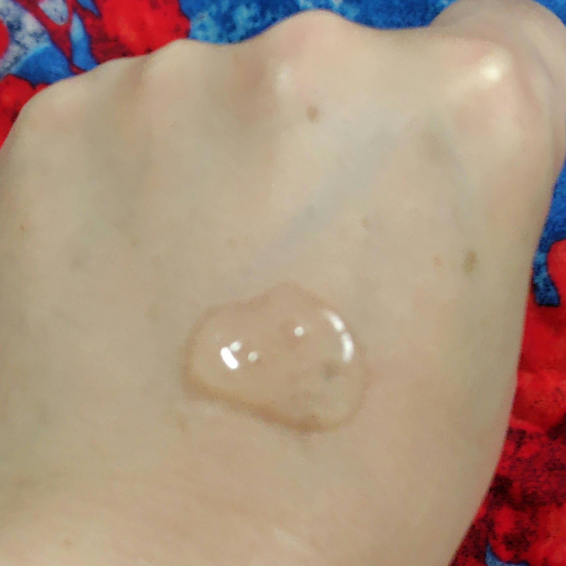 ドレススノー ローション【医薬部外品】  150ml/アテニア/化粧水を使ったクチコミ（3枚目）