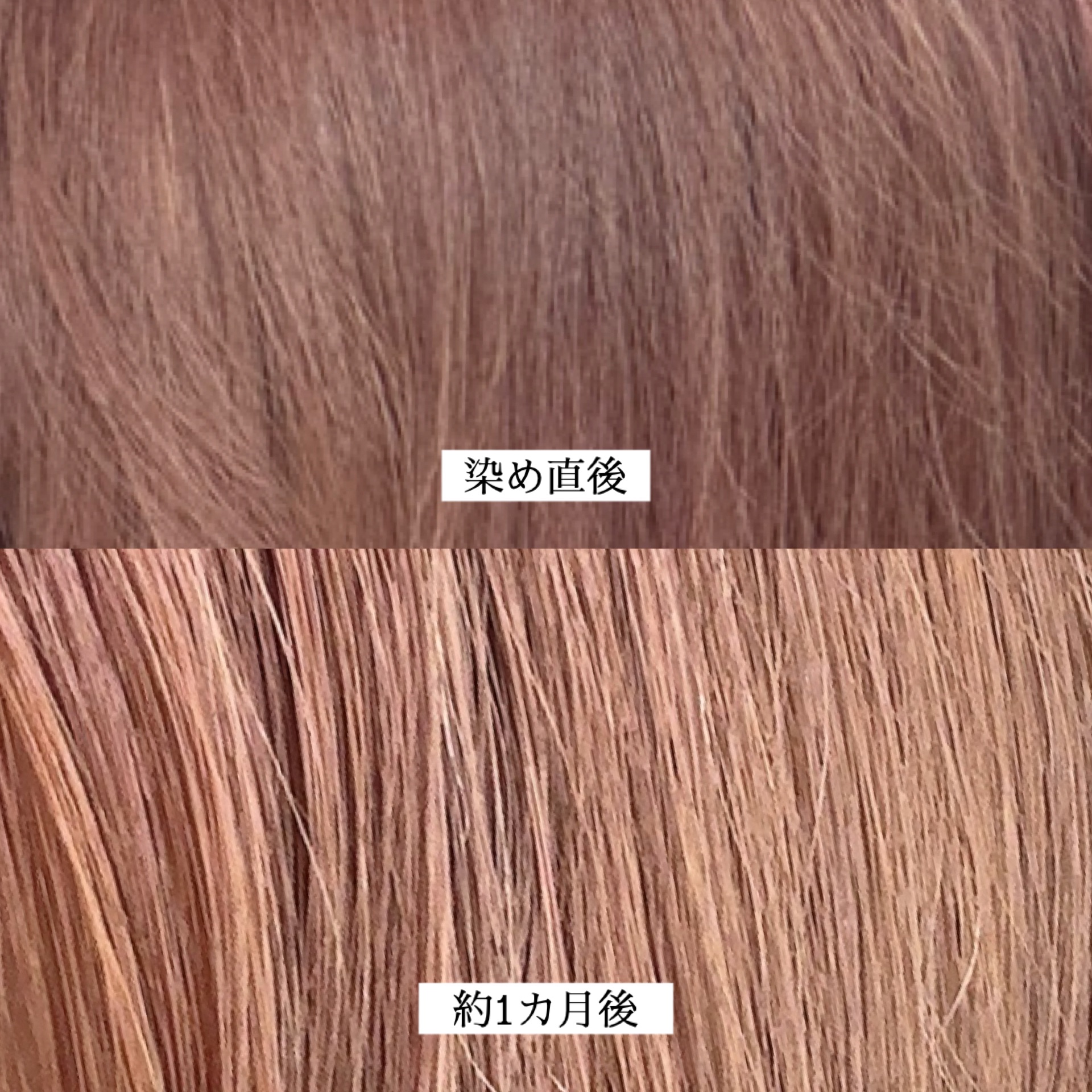 クオルシア カラーシャンプー ピンク/クオルシア/市販シャンプーを使ったクチコミ（2枚目）